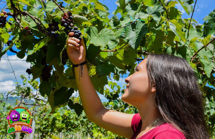 Parque  Nacional de la Uva